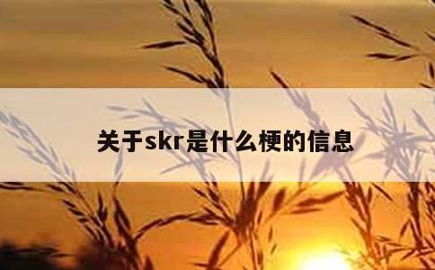 关于skr是什么梗的信息