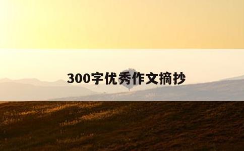 300字优秀作文摘抄