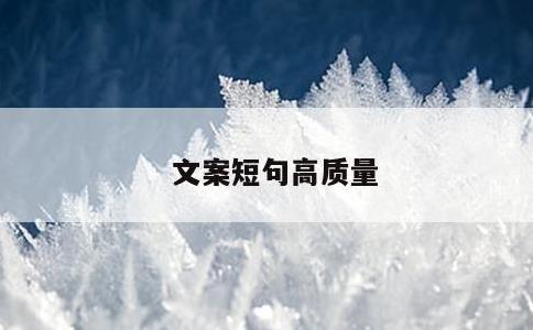 文案短句高质量