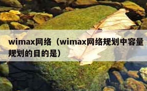 wimax网络，wimax网络规划中容量规划的目的是