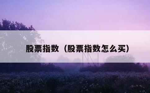 股票指数，股票指数怎么买