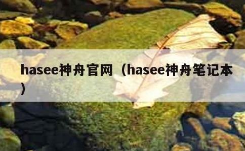 hasee神舟官网，hasee神舟笔记本