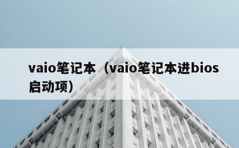 vaio笔记本，vaio笔记本进bios启动项