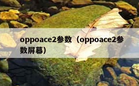 oppoace2参数，oppoace2参数屏幕