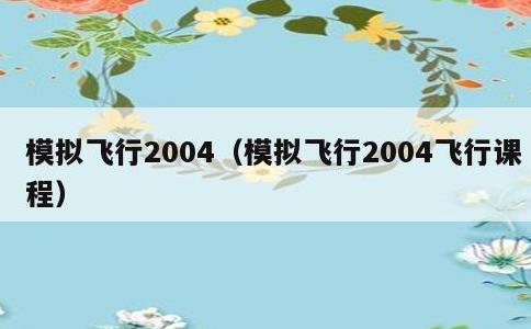 模拟飞行2004，模拟飞行2004飞行课程