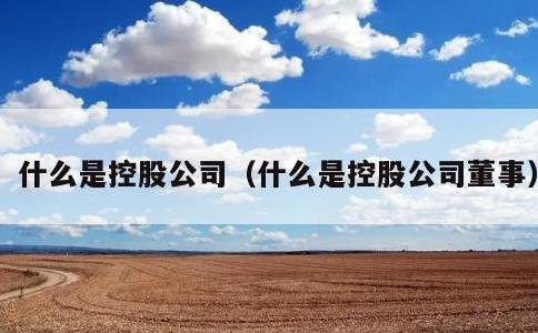 什么是控股公司，什么是控股公司董事