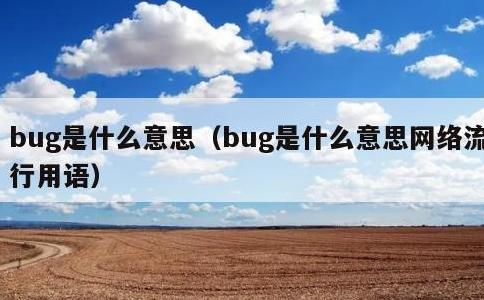 bug是什么意思，bug是什么意思网络流行用语