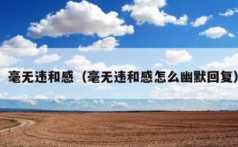 毫无违和感，毫无违和感怎么幽默回复