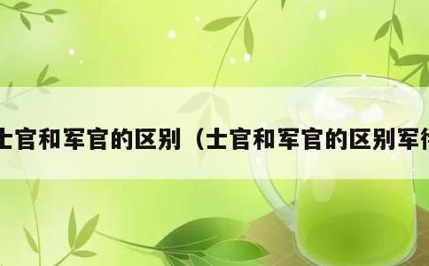 士官和军官的区别，士官和军官的区别军衔