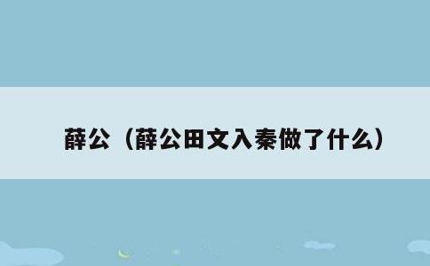 薛公，薛公田文入秦做了什么