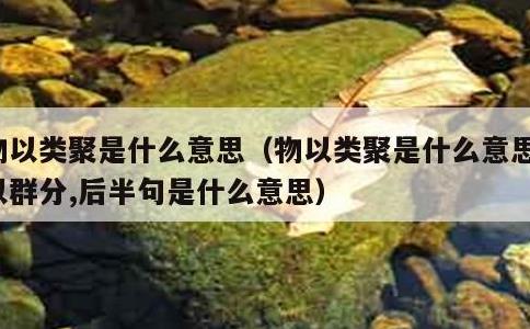 物以类聚是什么意思，物以类聚是什么意思人以群分,后半句是什么意思