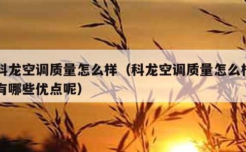 科龙空调质量怎么样，科龙空调质量怎么样 有哪些优点呢