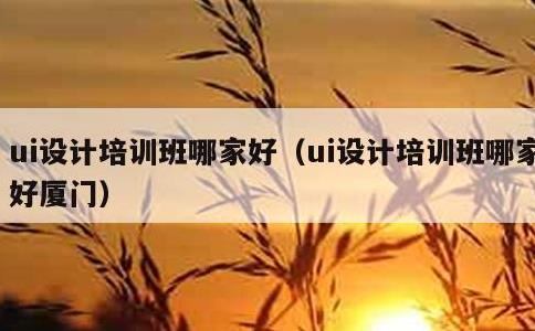 ui设计培训班哪家好，ui设计培训班哪家好厦门