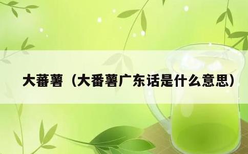 大蕃薯，大番薯广东话是什么意思