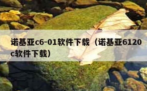 诺基亚c6-01软件下载，诺基亚6120c软件下载