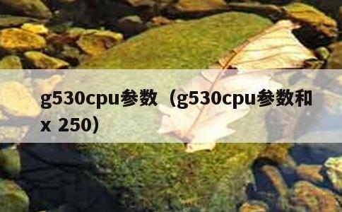 g530cpu参数，g530cpu参数和x 250