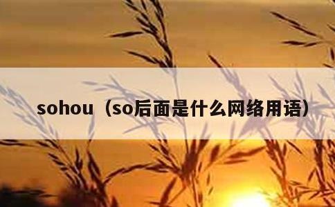 sohou，so后面是什么网络用语