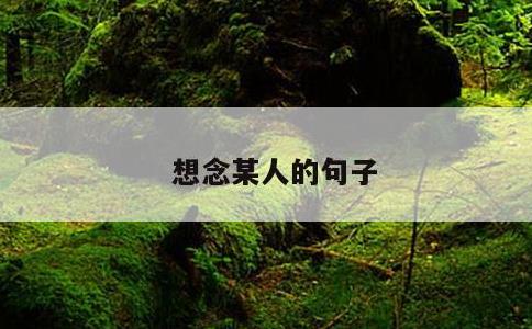 想念某人的句子