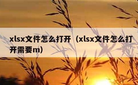 xlsx文件怎么打开，xlsx文件怎么打开需要m