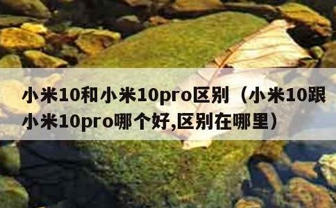 小米10和小米10pro区别，小米10跟小米10pro哪个好,区别在哪里