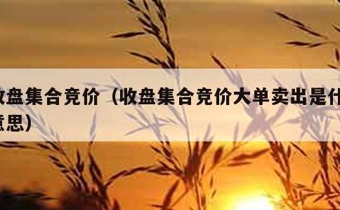 收盘集合竞价，收盘集合竞价大单卖出是什么意思