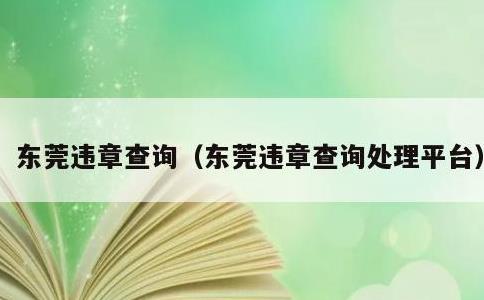 东莞违章查询，东莞违章查询处理平台