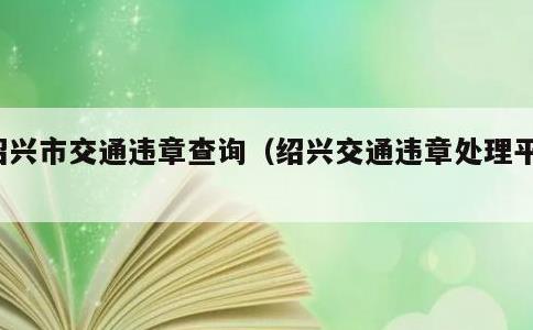 绍兴市交通违章查询，绍兴交通违章处理平台