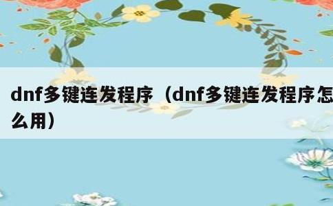 dnf多键连发程序，dnf多键连发程序怎么用