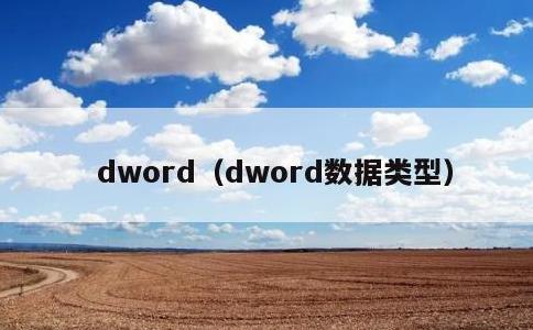 dword，dword数据类型