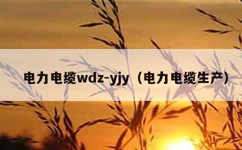 电力电缆wdz-yjy，电力电缆生产