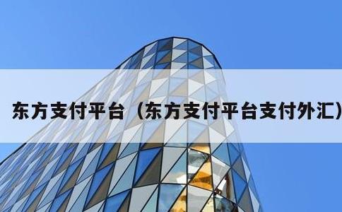 东方支付平台，东方支付平台支付外汇