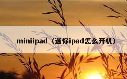 miniipad，迷你ipad怎么开机