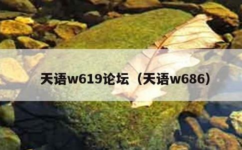 天语w619论坛，天语w686