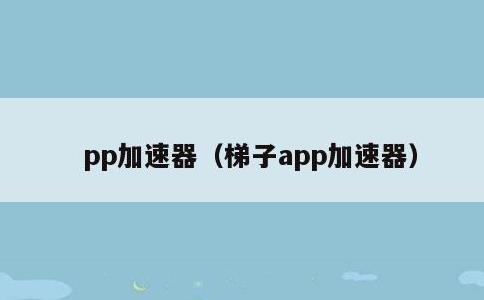 pp加速器，梯子app加速器