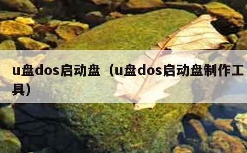 u盘dos启动盘，u盘dos启动盘制作工具