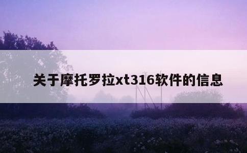 关于摩托罗拉xt316软件的信息