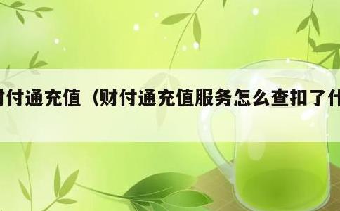 财付通充值，财付通充值服务怎么查扣了什么