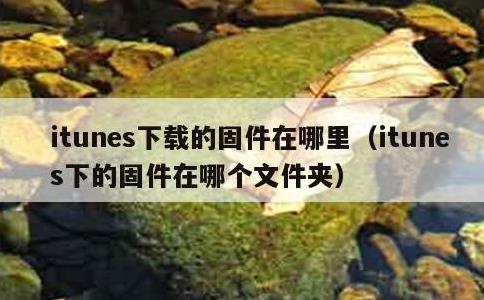 itunes下载的固件在哪里，itunes下的固件在哪个文件夹