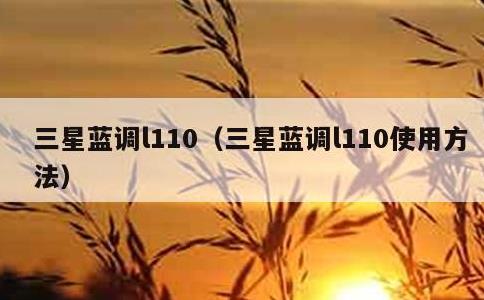 三星蓝调l110，三星蓝调l110使用方法