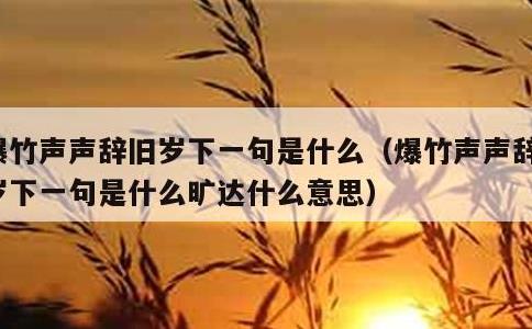 爆竹声声辞旧岁下一句是什么，爆竹声声辞旧岁下一句是什么旷达什么意思