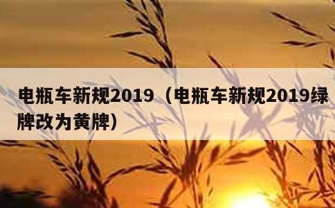 电瓶车新规2019，电瓶车新规2019绿牌改为黄牌