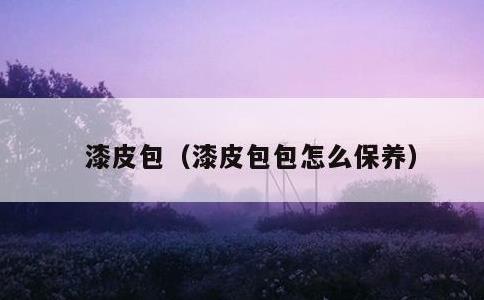 漆皮包，漆皮包包怎么保养