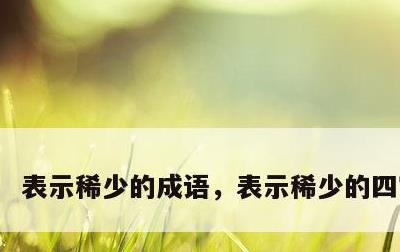 表示稀少的成语，表示稀少的四字词语