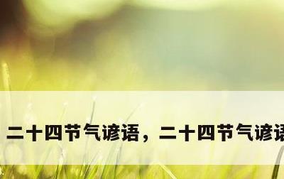 二十四节气谚语，二十四节气谚语顺口溜