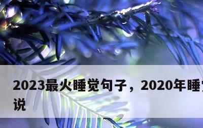 2023最火睡觉句子，2020年睡觉的说说