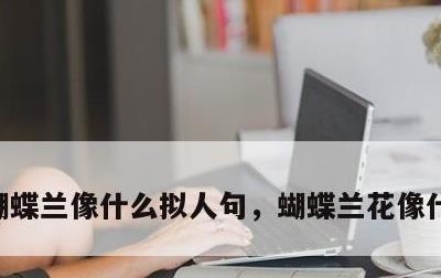 蝴蝶兰像什么拟人句，蝴蝶兰花像什么拟人句