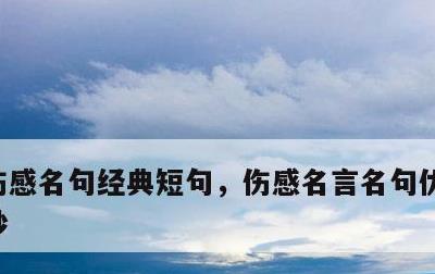 伤感名句经典短句，伤感名言名句优美句子摘抄