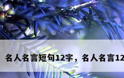 名人名言短句12字，名人名言12字左右