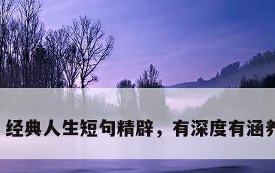 经典人生短句精辟，有深度有涵养的句子