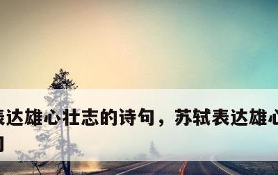 表达雄心壮志的诗句，苏轼表达雄心壮志的诗句